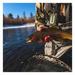 ZOLEO Satellite Communications Global Satellite Communicator -Deals Marine Communication Store 20562039 4